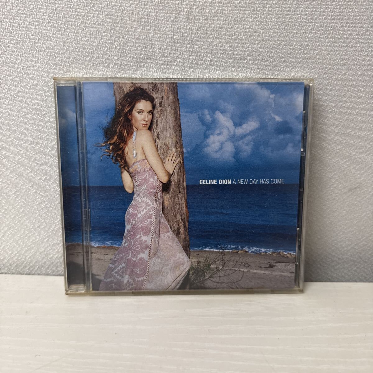 △ Celine Dion A New Day Has Come CD セリーヌディオン 中古品 △拍卖