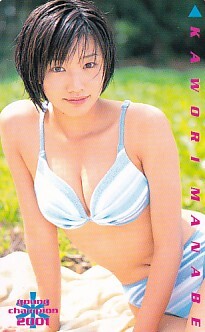 ■R23 眞鍋かをり ヤングチャンピオン テレカ2拍卖