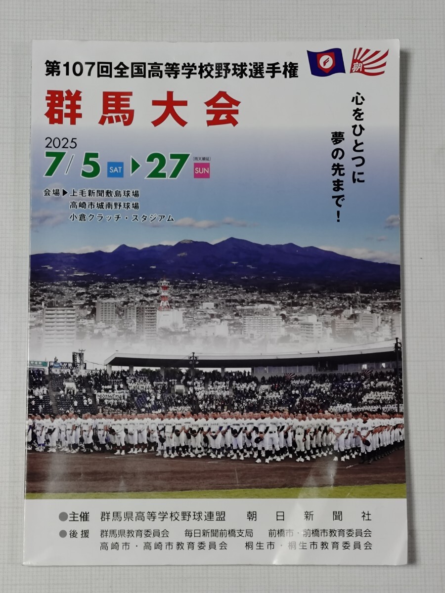 2025 高校野球 群馬大会 プログラム拍卖