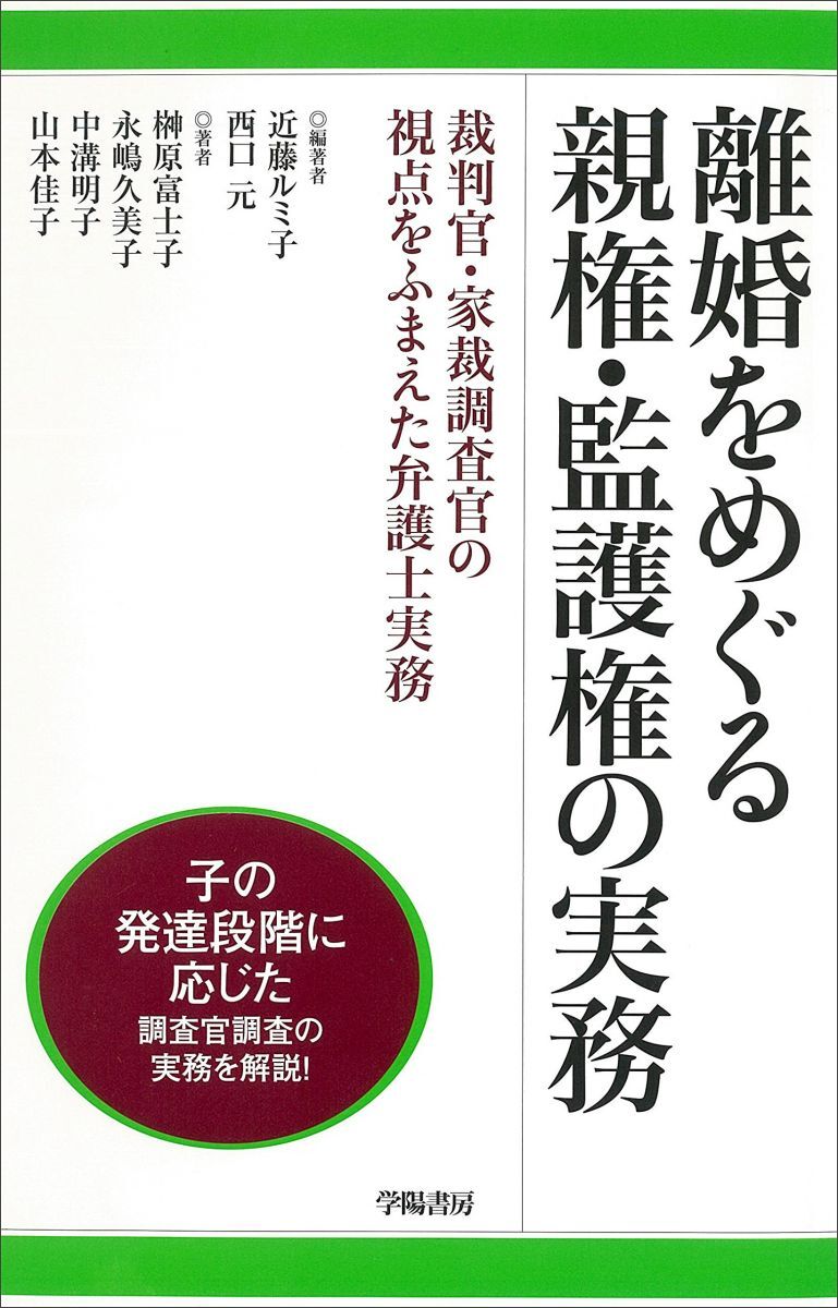 離婚をめぐる親権 ・ 監護権の実務-裁判官・家裁調査官の視点をふまえた弁護士実務拍卖