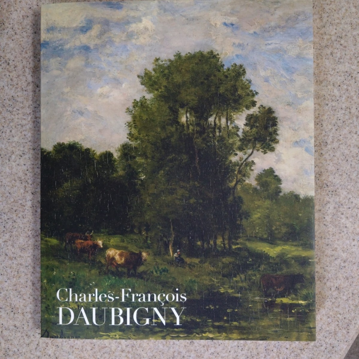 シャルル・フランソワ・ド・ビニー展 カタログ拍卖