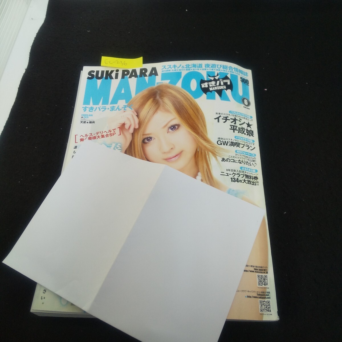 Ec-236/すきパラまんぞく 2008年6月号 vol.54 GW満喫プラン こだわりメイクテクを公開!/L3/70922拍卖