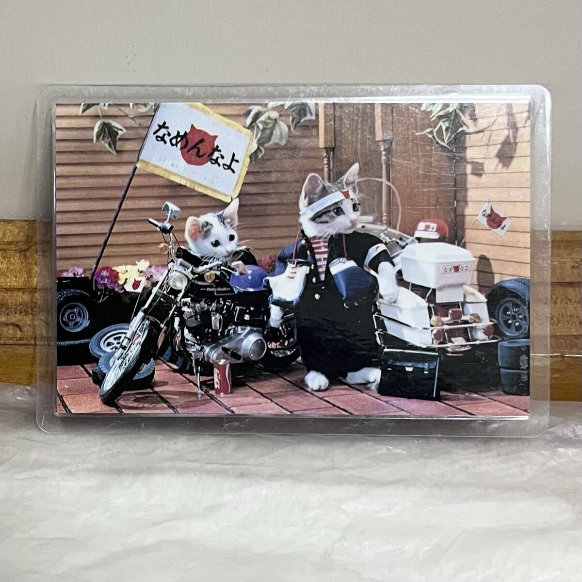 なめ猫 カード なめんなよ猫 当時物 レトロ レア 希少 なめねこ拍卖