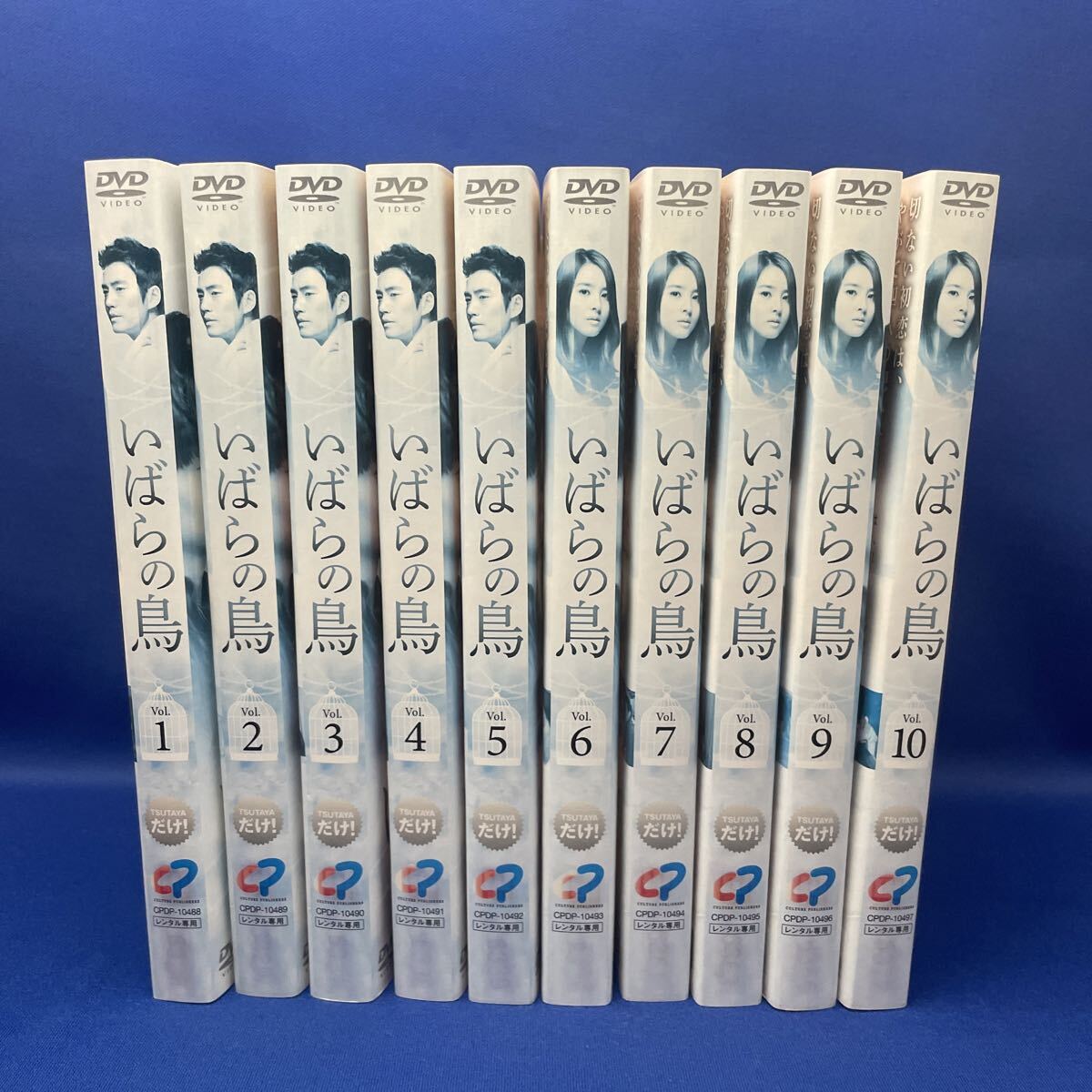 【DVD】いばらの鳥 1-10巻 全巻セット 韓流 韓国ドラマ レンタル落ち / ハン・ヘジン/ チュ・サンウク/ キム・ミンジョン/ ソ・ドヨン拍卖