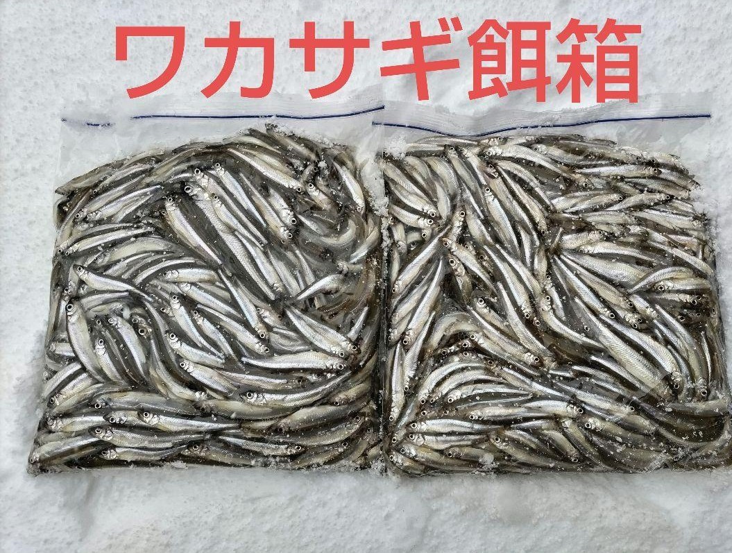 ワカサギ 餌箱 レイクマスター ダイワ クリスティア ワカサギCR バリバス クリーク ディアブロコブラ ジャグラー わかさぎ  拍卖