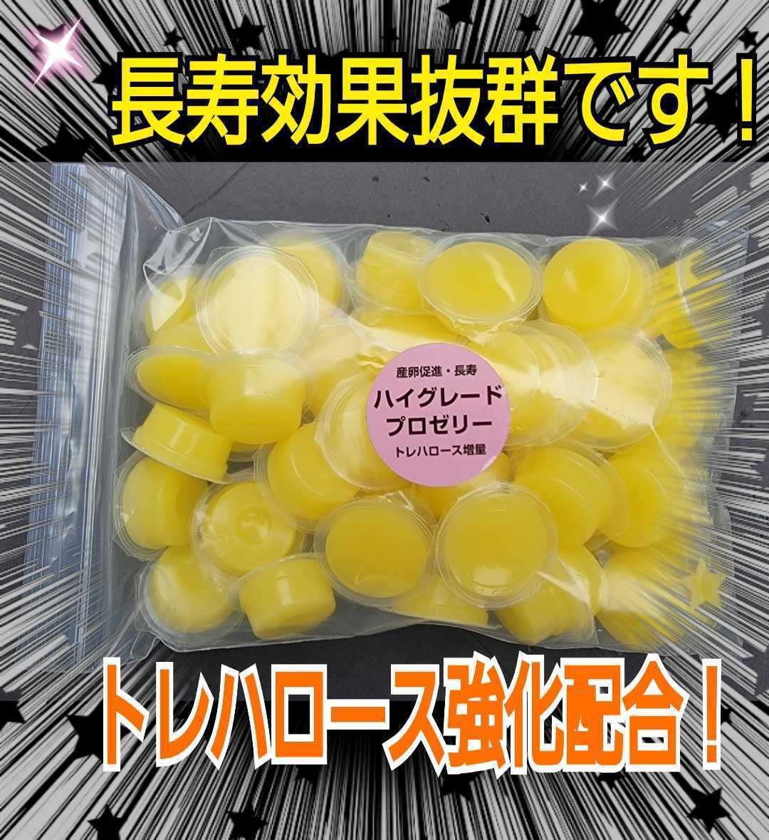 クワガタ、カブトムシの餌はコレ!ハイグレードプロゼリー【50個】食べやすいワイドカップ☆トレハロース強化!産卵促進・長寿効果抜群です拍卖