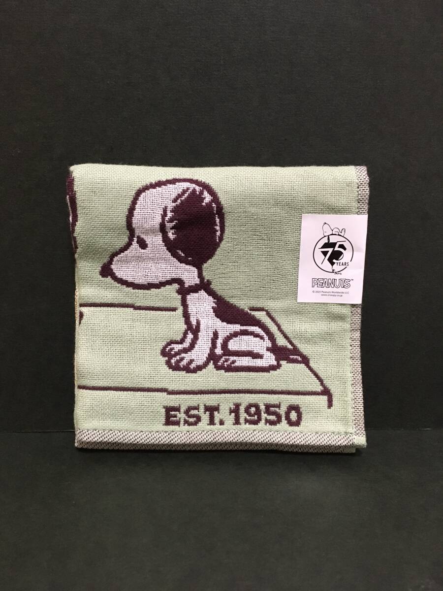 PEANUTS★スヌーピー 3重ガーゼハンカチ☆彡 PEANUTS 75years グリーン スヌーピー&チャーリー タオルハンカチ 新品 川辺 SNOOPY拍卖