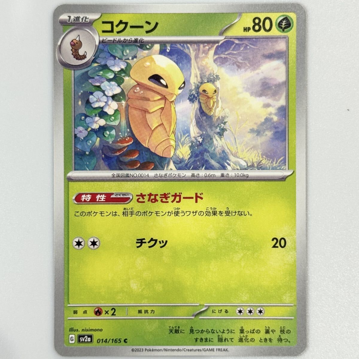 ポケモンカード ポケカ C sv2a コクーン 1進化拍卖