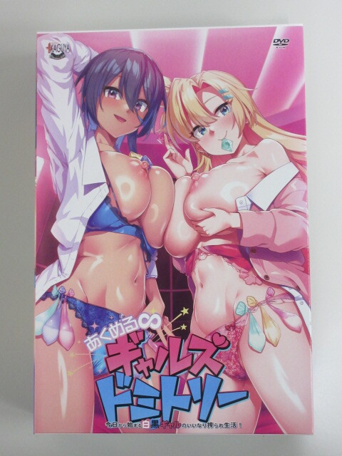 【PCソフト・パソコンソフト】 あくめる∞ギャルズドミトリー 今日から始まる白黒ギャルのいいなり搾られ生活 アトリエかぐや Cheshir 2353拍卖