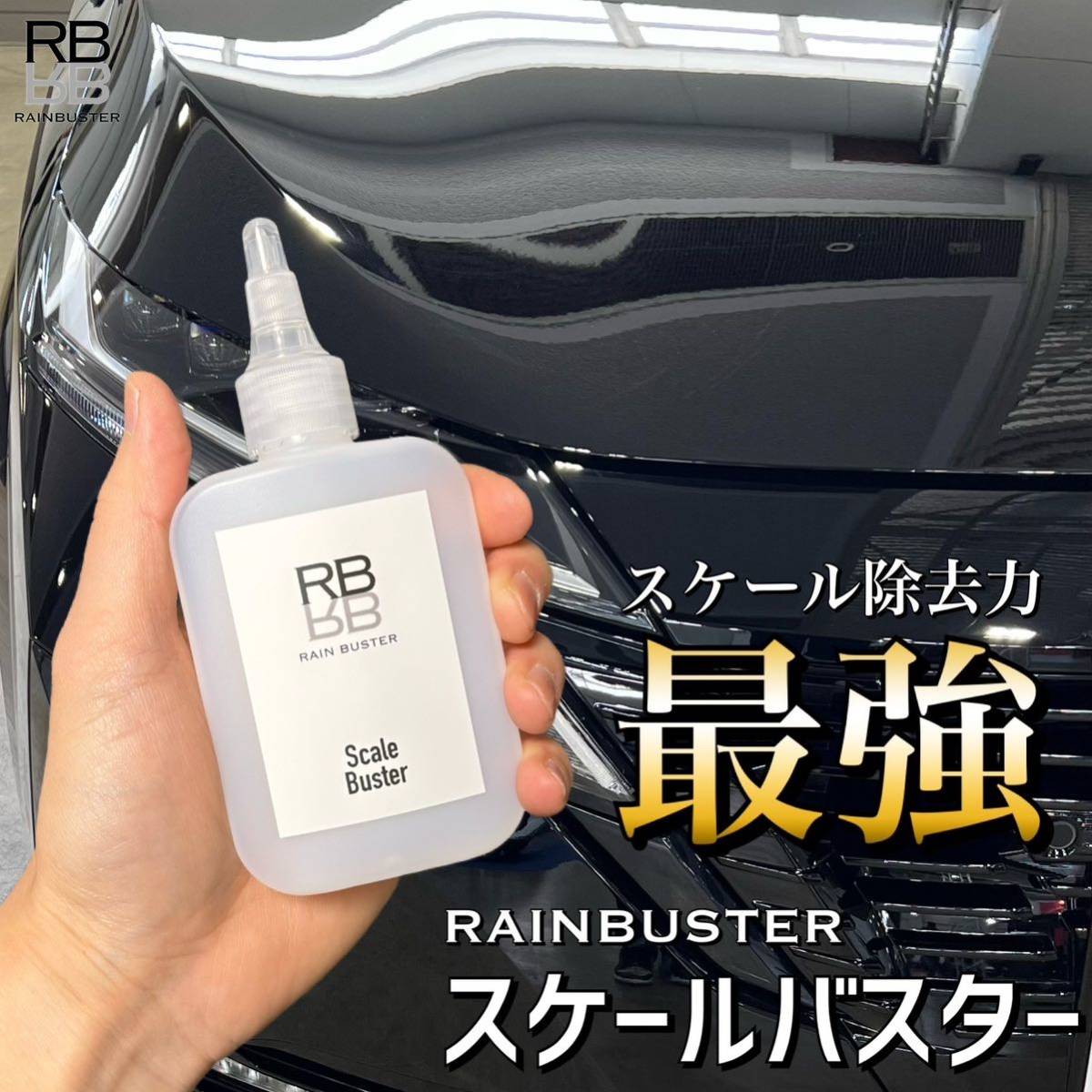 RB スケールバスター ボトル 100ml クロス付 スケール除去 水アカ除去 解説動画有り ウロコ プロ仕様 約4〜5台分拍卖