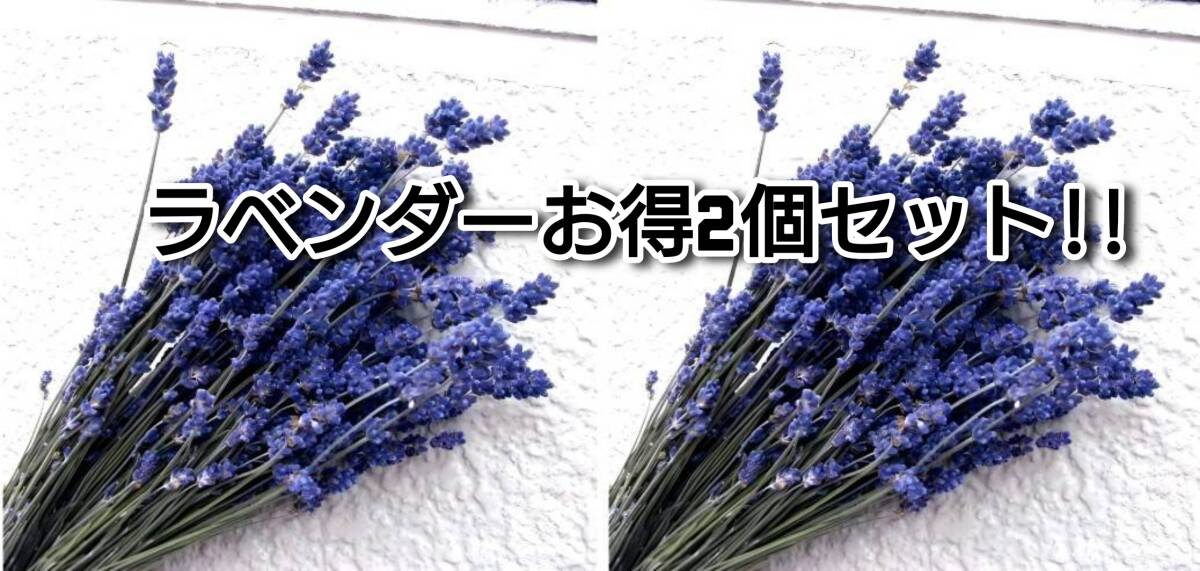 めぐみ工房 北海道ドライフラワー・濃紫ラベンダー早咲 お得2個セット!拍卖