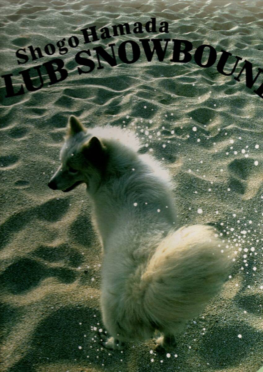 ②LP)浜田省吾 / CLUB SNOWBOUND拍卖