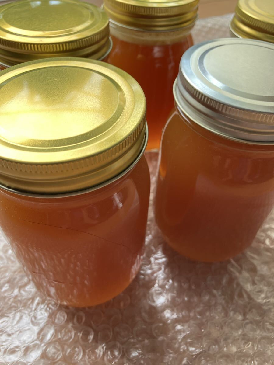 自然豊かな高知県産 天然 日本蜜蜂 ニホンミツバチ ハチミツ 蜂蜜 一瓶拍卖