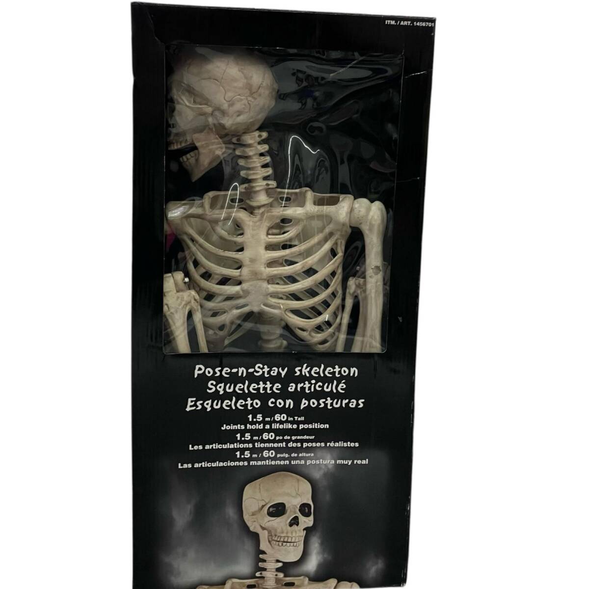 186000 現状品 POSE-N-STAY SKELETON SQUELETTE ARTICULE ESQUELETO CON POSTURAS ポーズスケルトンフィギュア拍卖