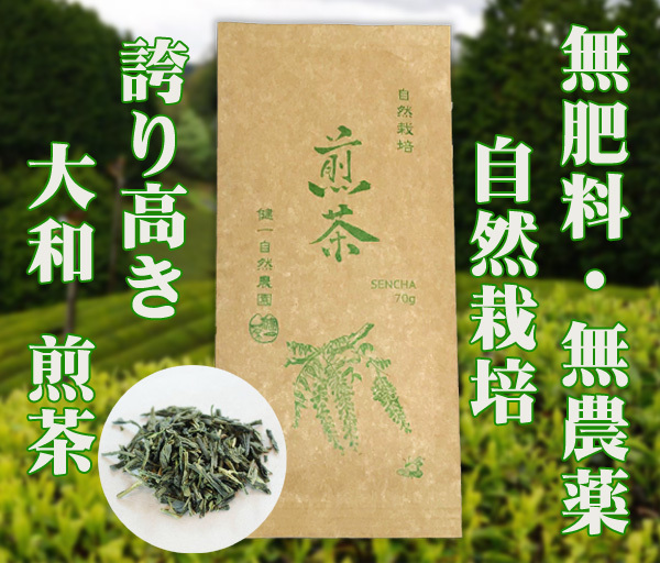 自然栽培 煎茶(70g)★無肥料・無農薬★無添加★★誇り高き大和茶★新芽を摘み取り、受け継いだ大和高原の蒸し緑茶製法で揉み上げました♪拍卖