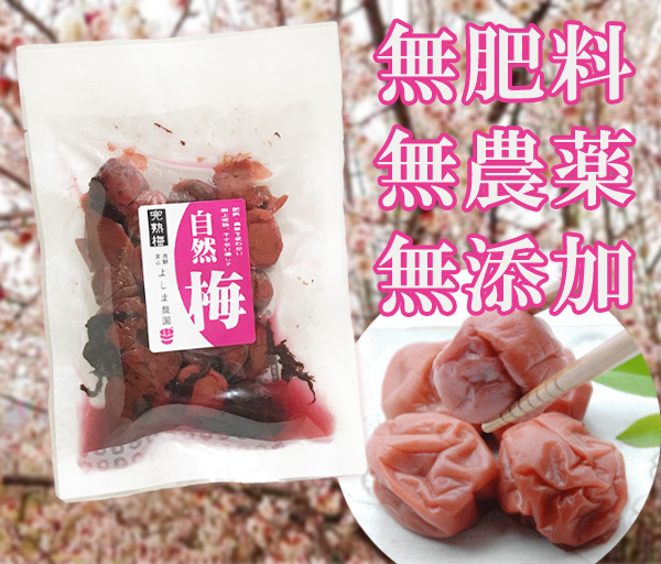 梅漬(100g)★無肥料・無農薬の自然栽培完熟梅を使用★無添加・無化学調味料・無着色・砂糖不使用★土用干しをしない優しさがあります♪拍卖