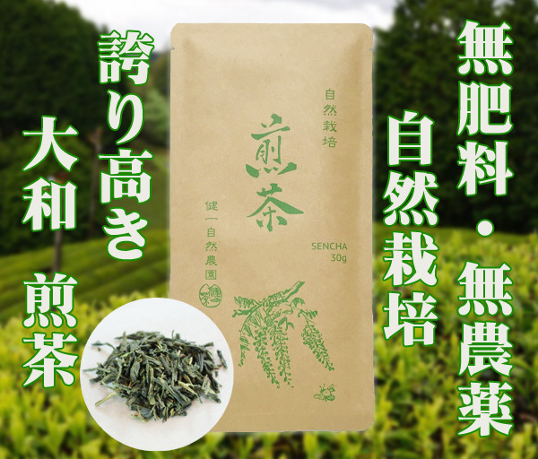 自然栽培 煎茶(30g)★無肥料・無農薬★無添加★誇り高き大和茶★新芽を摘み取り、受け継いだ大和高原の蒸し緑茶製法で揉み上げました♪拍卖