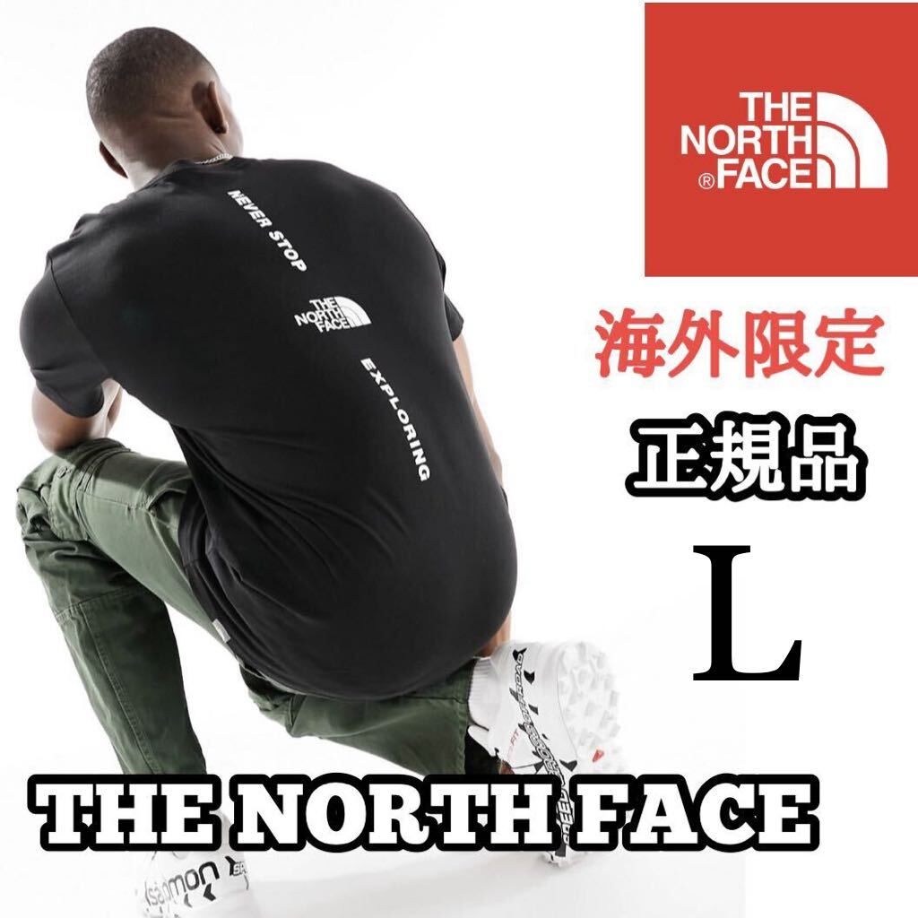 THE NORTH FACE ザ ノースフェイス VERTICAL NSE メンズ 半袖 Tシャツ バッグデザイン 海外限定 正規品 完売品 ブラック 黒 M L コットン拍卖