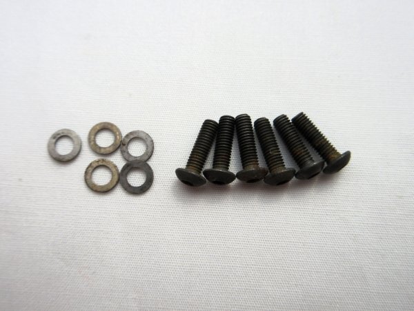 Ibanez アイバニーズ サドルマウントスクリュー Ibanez Edge用 長さ約12mm ワッシャー付属 6個セット 87年製Ibanez PL650拍卖