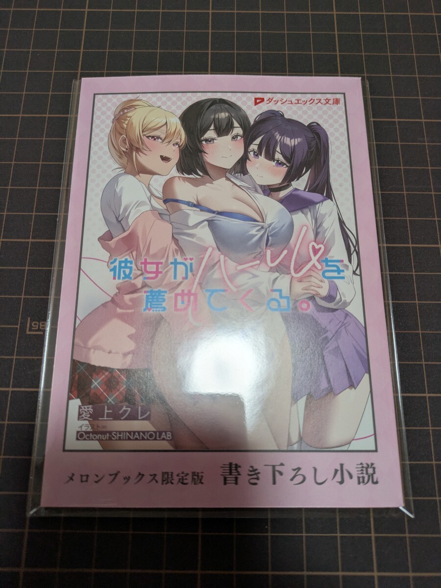 彼女がハーレムを薦めてくる。 2巻 メロンブックス有償特典 書き下ろし小説 愛上クレ Octonut・SHINANO LAB拍卖