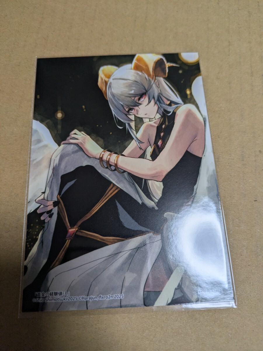 黄金の経験値 3巻 ゲーマーズ購入特典 描き下ろしブロマイド 原純 霜月汐 fixro2n拍卖