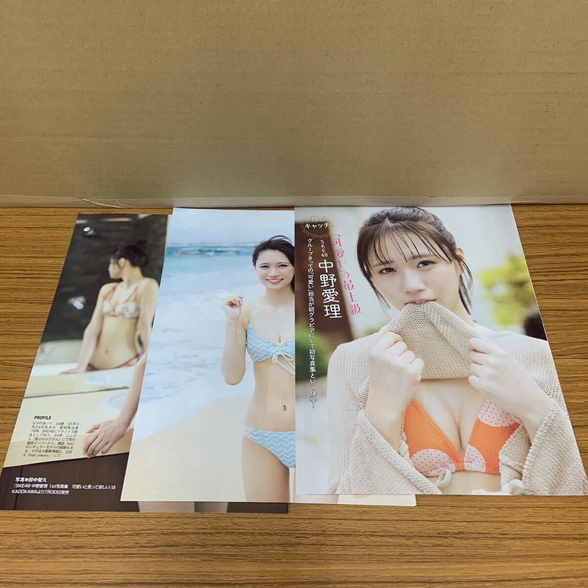 中野愛理 切り抜き 5ページ FLASH拍卖