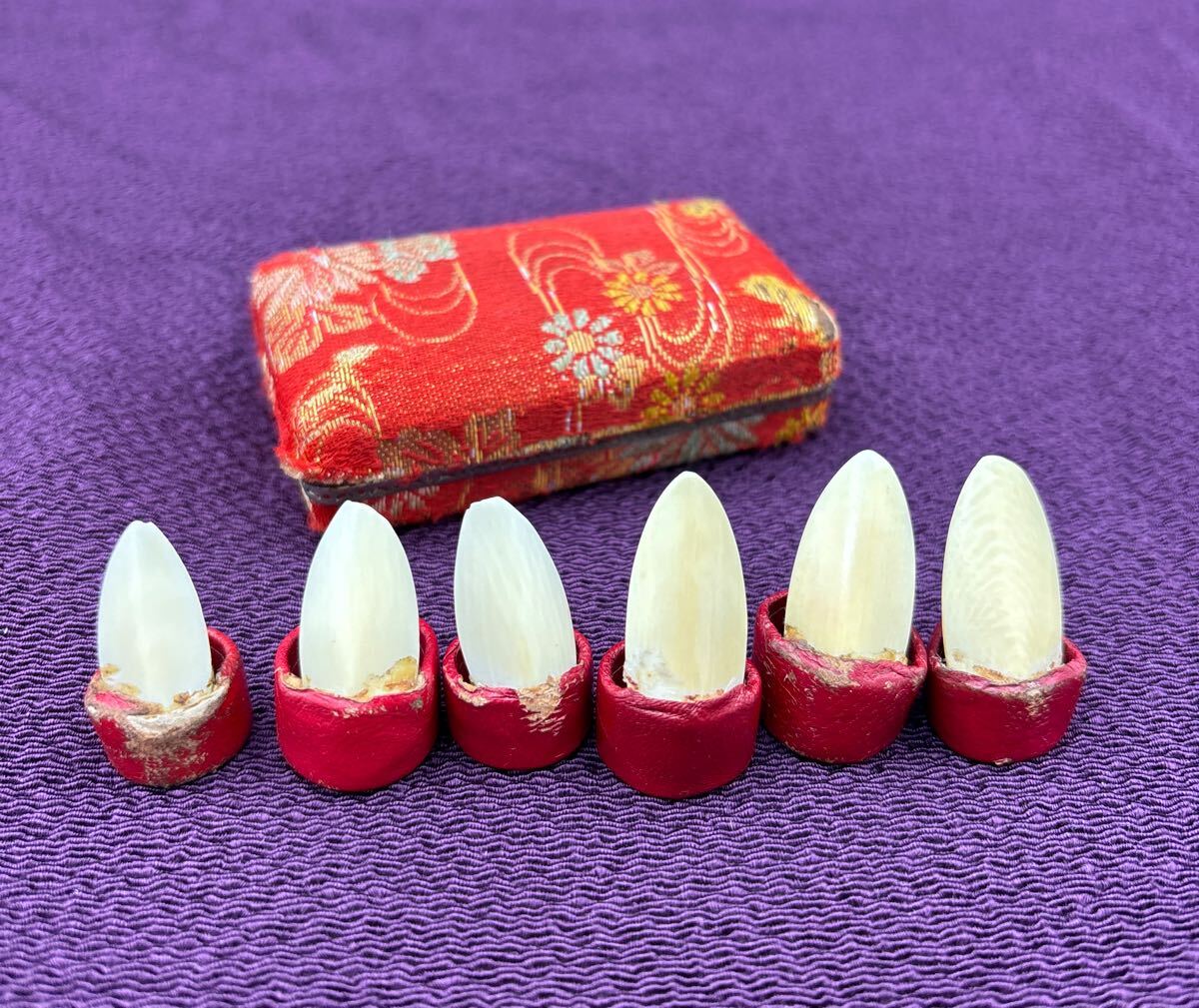 和楽器 琴爪6個 収納ケース付き 高級天然素材 お琴具 伝統楽器 お琴爪 琴具 No.3006拍卖