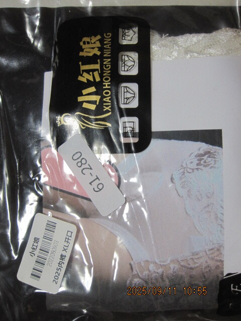 超過激 レース 魅惑 GAY メンズ パンツ ショーツ 超薄 メンズ下着 サオ付き! 同梱不可!拍卖