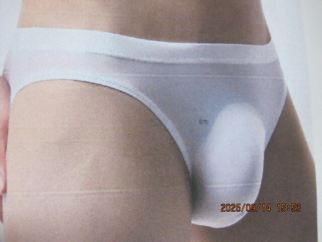 新品 未使用品 ローライズ もっこりメンズパンツです!同梱不可です!拍卖