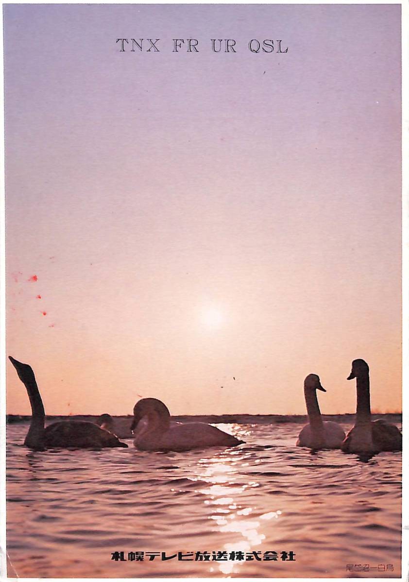 BCL★希少ベリカード★北海道★STV・札幌テレビ放送+おまけ★National★ナショナル★ワールドボーイGXO★RF-848カラー取扱説明書付拍卖