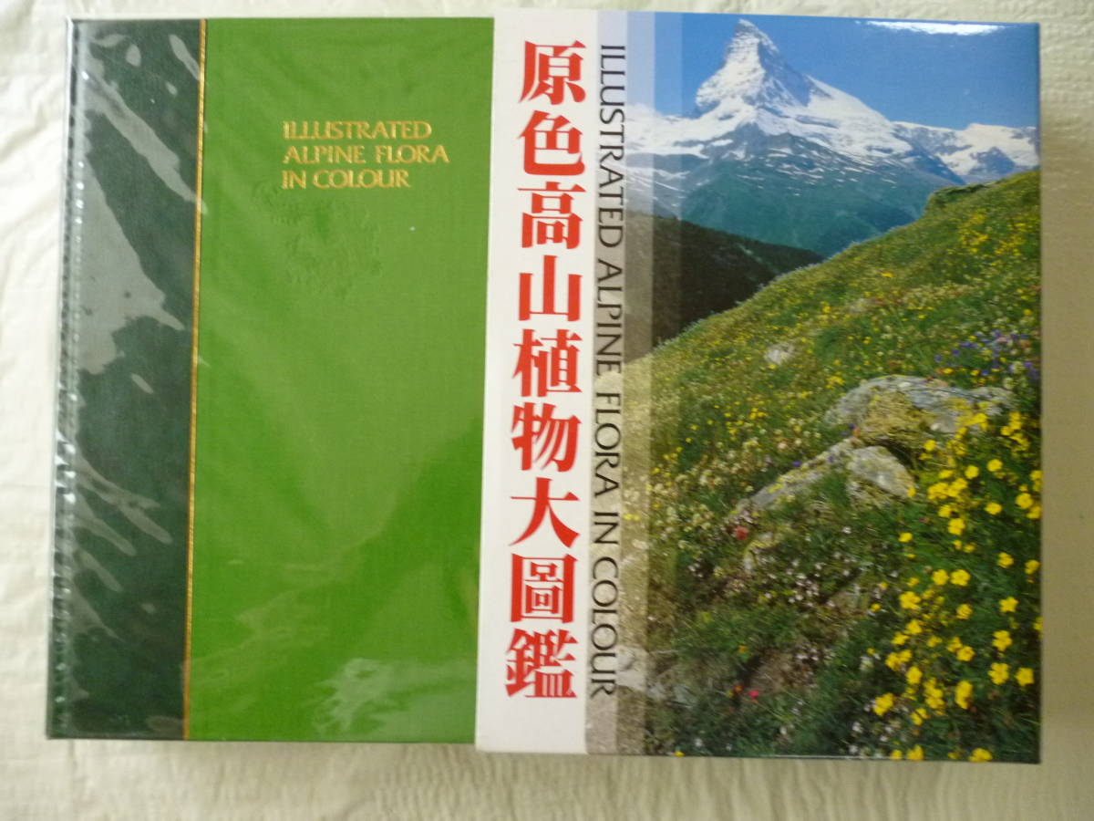 原色高山植物大圖鑑 監修・小野幹雄、林弥栄拍卖