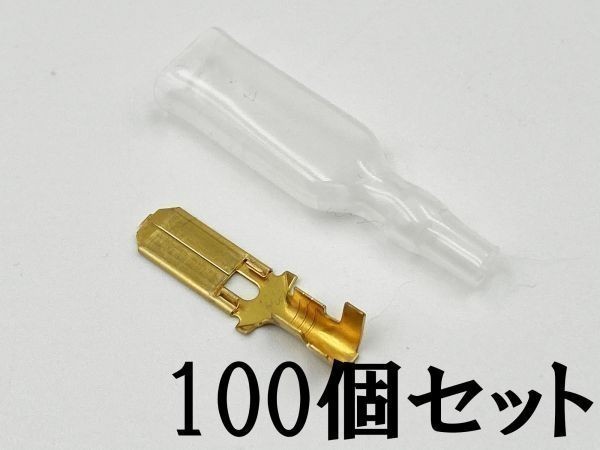 ①【250型 オス 端子+スリーブ 100個セット】 日本製 検索用) DIY リレー 車 バイク トラック 交換 ドライブレコーダー拍卖