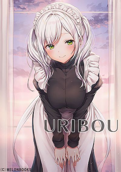 メロンブックス うりぼうざっか店 米白粕 WEB企画 11月掲載 WスエードB2タペストリー /未開封拍卖