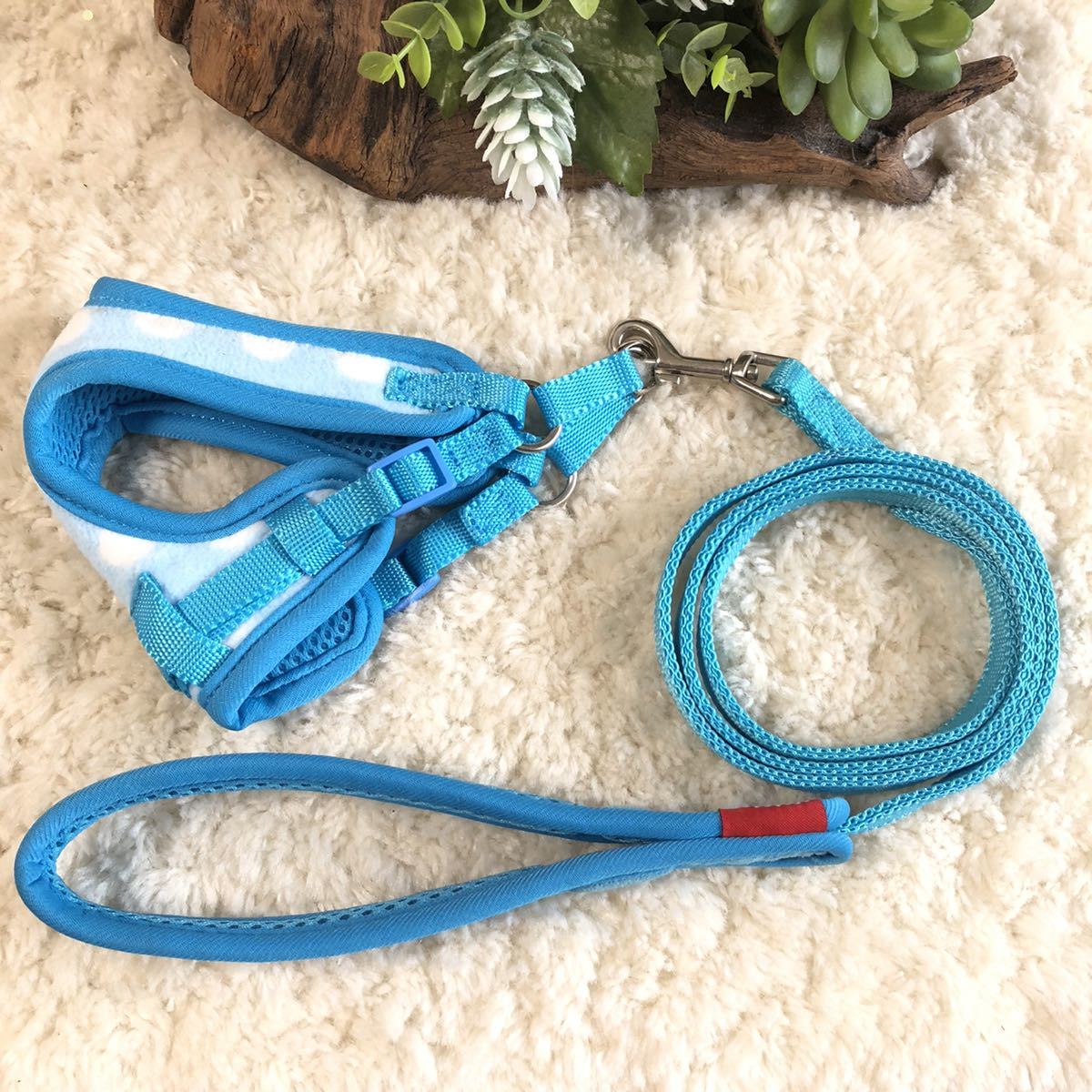★同梱お得★胴輪&リード・超小型犬・ソフティー・水玉-No.40・ブルー♪拍卖