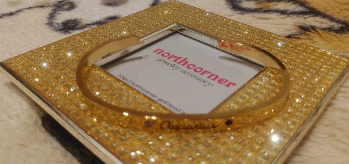 即決☆定価6300円!!ノースコーナー 星座(ホロスコープ)バングル ♪ aquaries みずがめ座拍卖