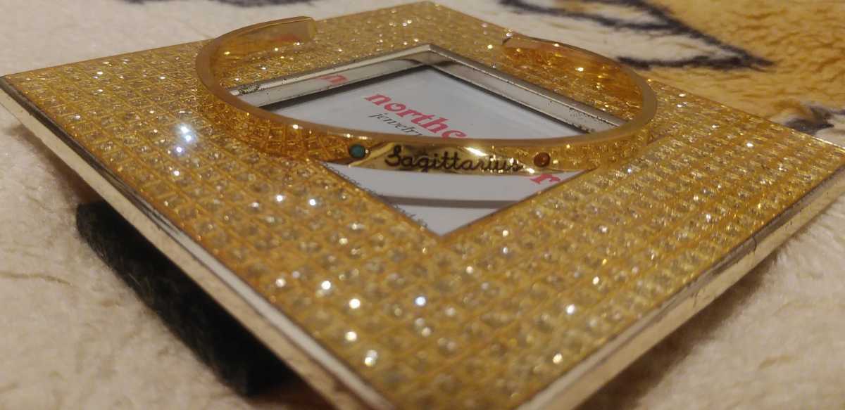 即決☆定価6300円!!ノースコーナー 星座(ホロスコープ)バングル ♪ sagittarius いて座拍卖