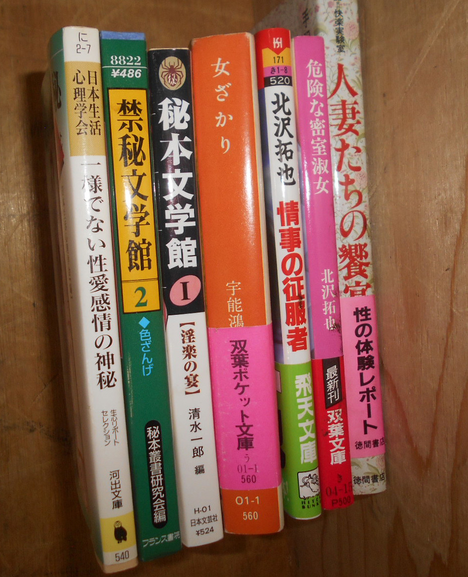 古本 状態並●昭和~平成 官能小説セット 北沢拓也 他拍卖