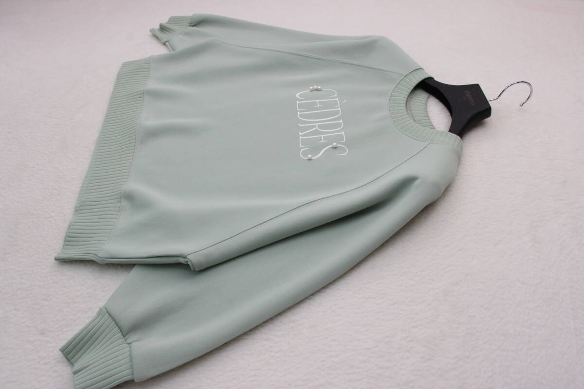 4586 新品 軽量ボンディングラグランパールロゴプリントプルオーバー ミントFサイズ拍卖