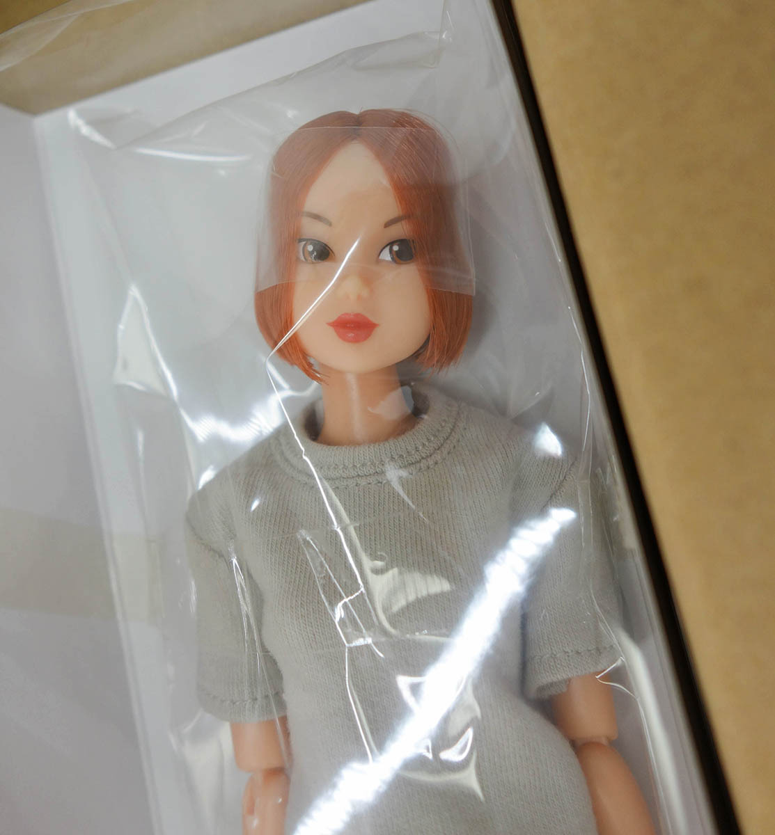 【送料無料】Today’s momoko 23HB br HAPPY BAG 2023 ペットワークス momoko DOLL拍卖