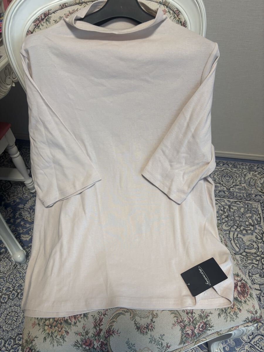 新品未使用タグ付き 4Lサイズ 大きい ベージュ Tシャツ 綿100ハイネック 紫外線予防 即決あり拍卖