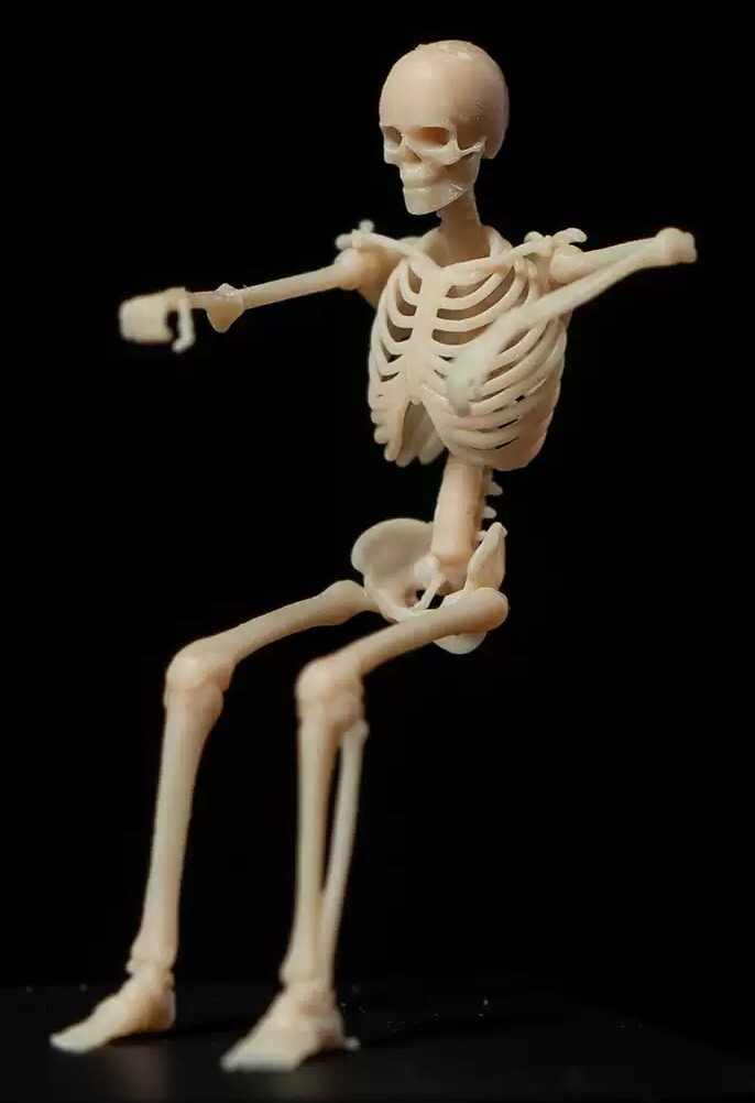 1/43スケール 骸骨 ジオラマフィギュア 1494,1495,1496、1509拍卖