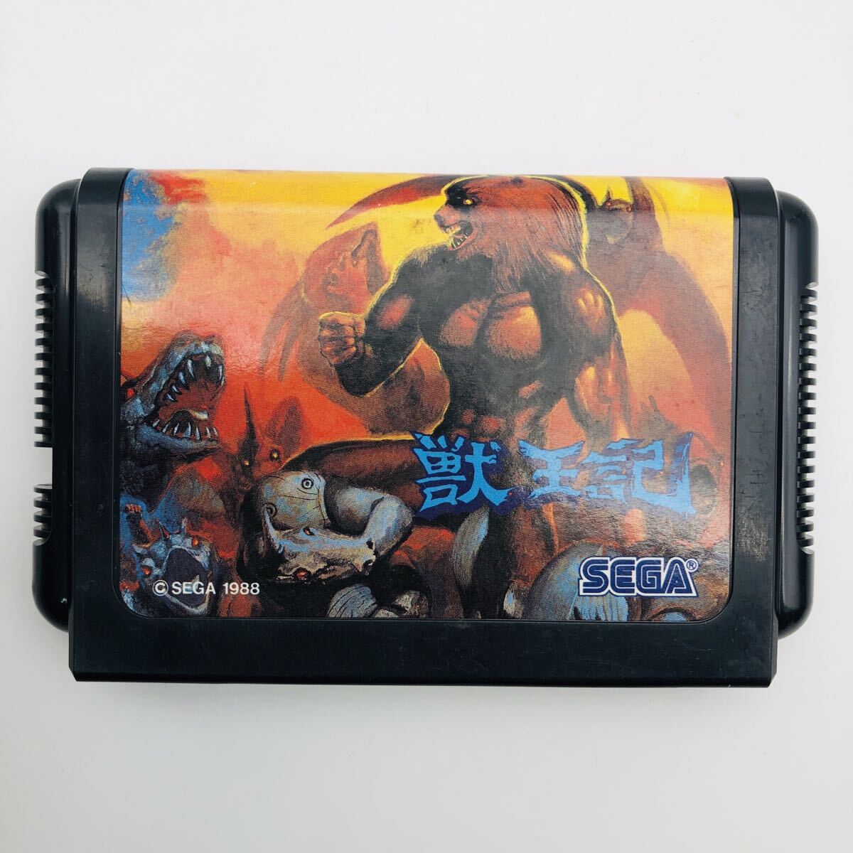 獣王記 メガドライブ◆動作確認済 ソフトのみ 現状品 レトロ ゲーム SEGA MEGA DRIVE拍卖