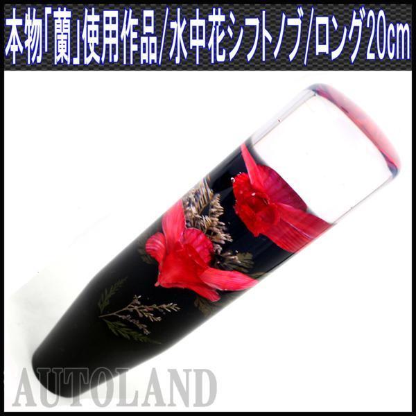 水中花シフトノブ/本物蘭/生花作品/200mm 20cmロング/赤色拍卖