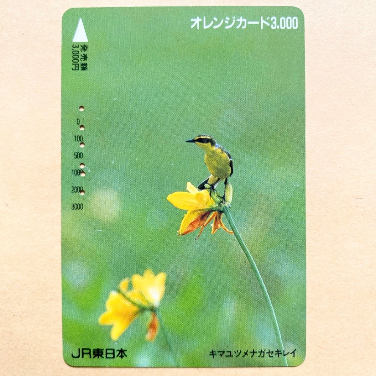 【使用済】 野鳥オレンジカード JR東日本 キマユツメナガセキレイ 鳥と花拍卖
