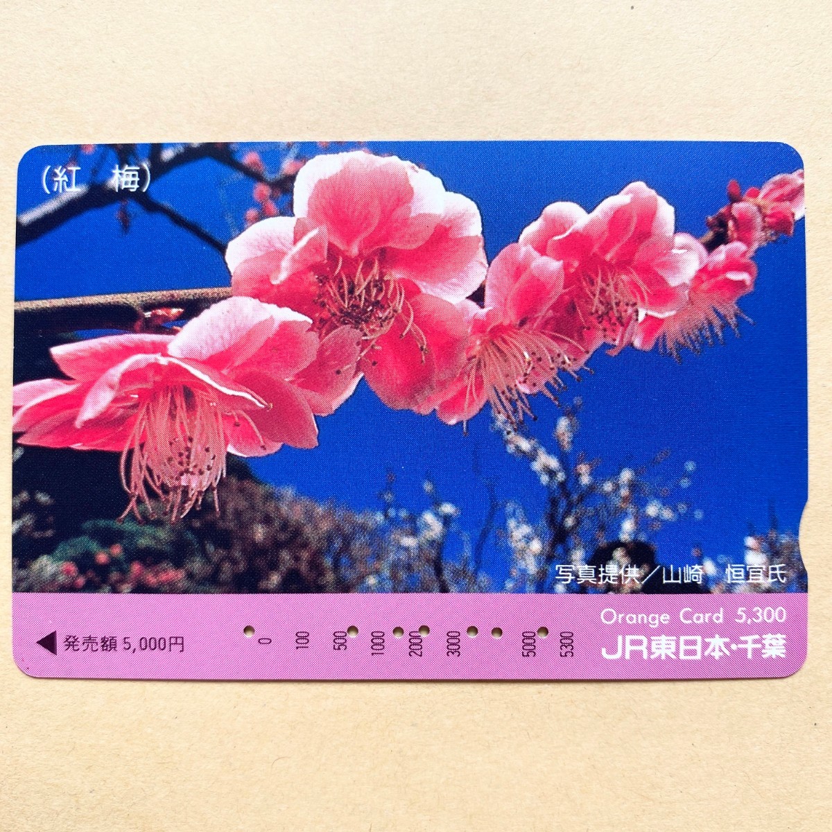 【使用済】 花オレンジカード JR東日本 紅梅拍卖