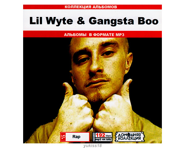 LIL WYTE & GANGSTA BOO/大全集 80曲 MP3CD♪拍卖
