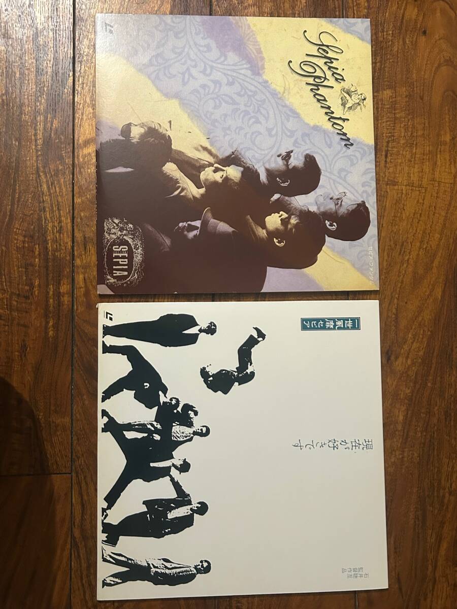【LD・レーザーディスク】一世風靡・セピア「現在が好きです」「Sepia Phantom」拍卖