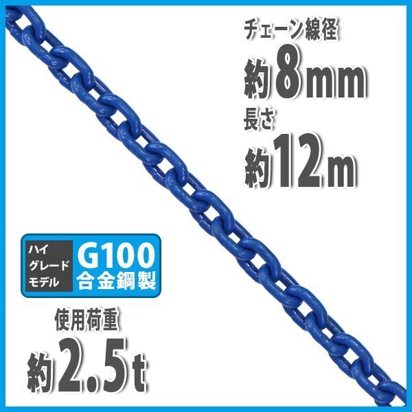 送料無料 チェーン 線径約8mm 使用荷重約2.5t 約2500kg 約12m G100 ハイグレードモデル 鎖 くさり 吊り具 チェーンスリング チェイン拍卖