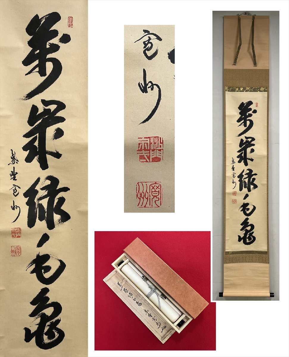 【千寿】大徳寺派 三玄院 長谷川寛州 萬歳緑毛亀 自筆 一行書 紙本 a959◆在銘 箱 茶掛 掛軸 掛物 茶道具 同梱可 条件有 100027911 拍卖