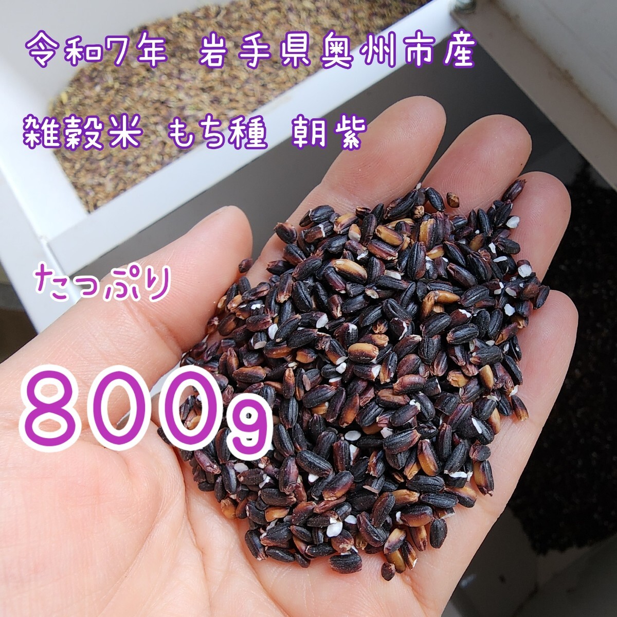 【新米】令和7年産 雑穀米『黒米』 800g 自家栽培 岩手県産 奥州市産 天日干し拍卖